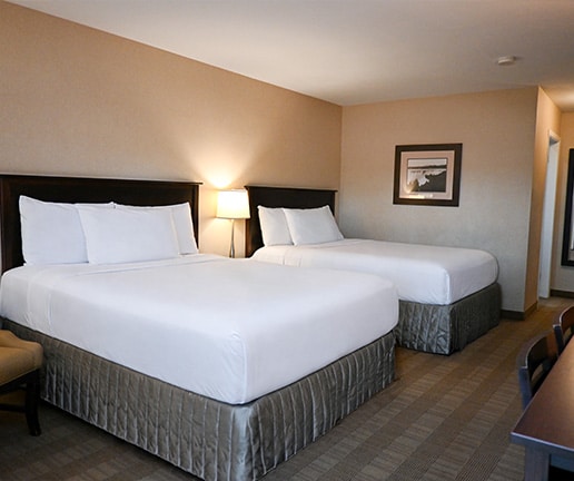 Skyline Hotel Traditional Two Queen