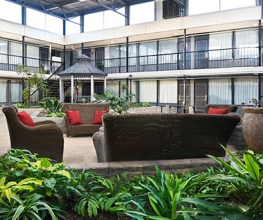 Skyline Hotel & Waterpark Courtyard