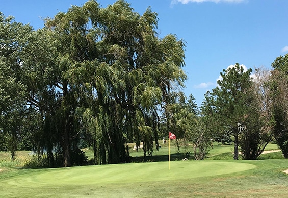 Greens at Brock Golf Course