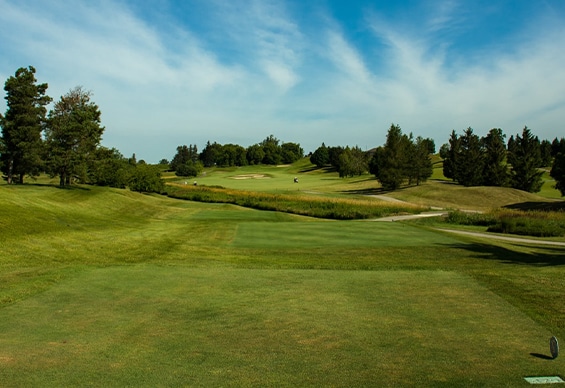 Niagara Falls Golf - Hertiage Woods Golf Course