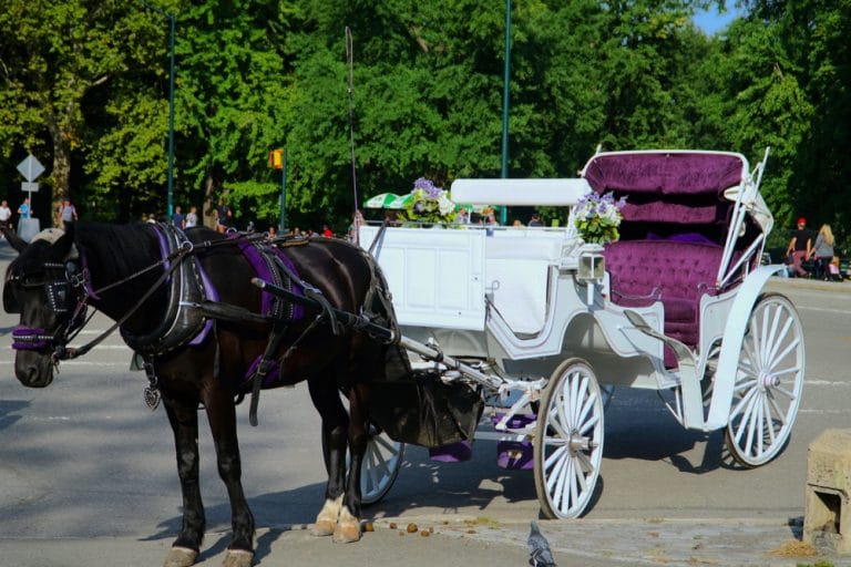 What to Do on Queen Street in NiagaraontheLake, Canada