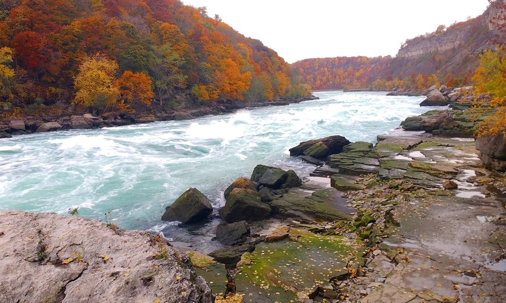 Niagara Glen - Niagara Falls Sightseeing