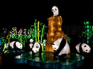 Seasky Light Show Pandas