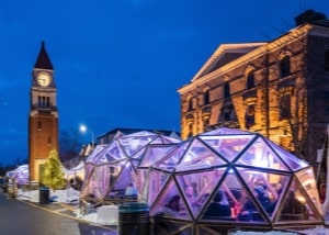 Icewine Village snow globes